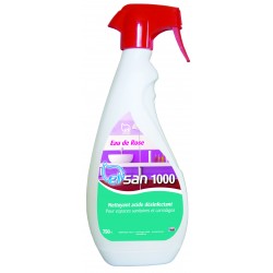 Détartrant désinfectant sanitaires ELISAN 1000 750 ml