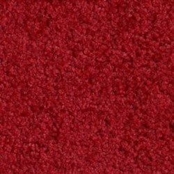 Tapis d'intérieur 60 cm x 90 cm Rouge Essence