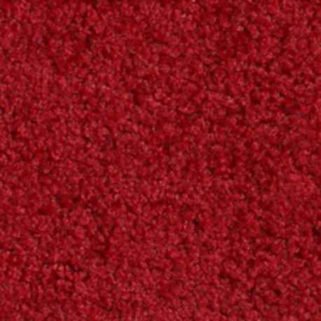 Tapis d'intérieur 90 cm x 120 cm Rouge Essence