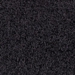 Tapis d'intérieur 90 cm x 150 cm Noir Essence